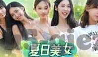 大象传媒在线视频-探索大象传媒在线视频，重塑娱乐与信息传播的新篇章