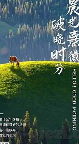 japanese 人妻av-探索日本成人娱乐文化的多元视角