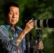 日韩av在线网址-探索成人娱乐的边界，日韩AV内容与网络文化的交汇