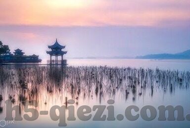 王有容果冻传媒-探索王有容与果冻传媒的创意融合，甜蜜的商业与艺术之旅